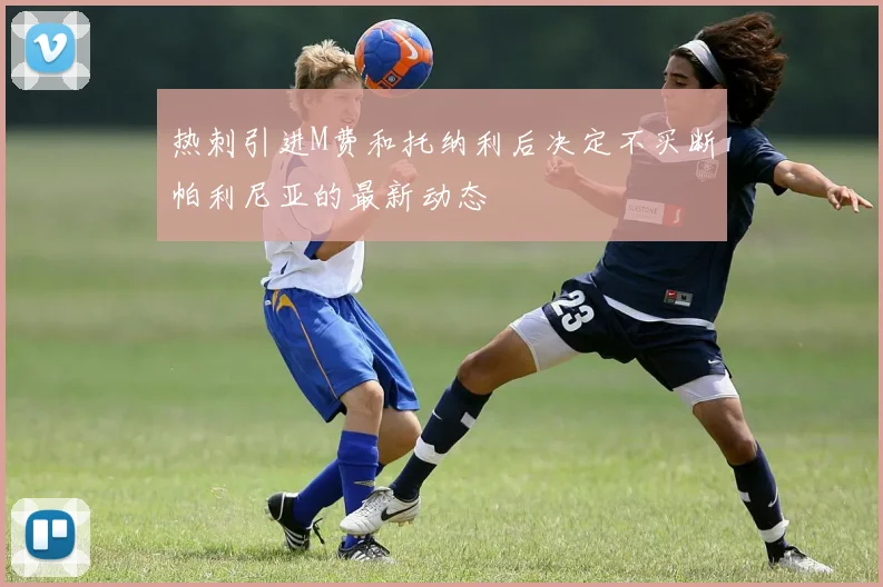 热刺引进M费和托纳利后决定不买断帕利尼亚的最新动态